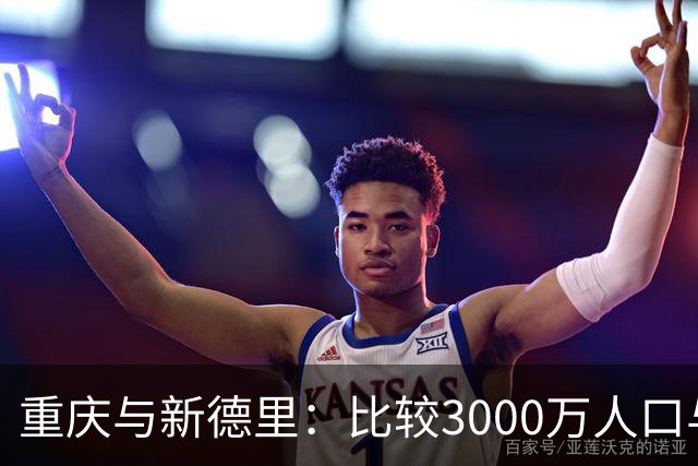 重庆与新德里：比较3000万人口与经济指标